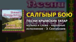 Салгыыр бою — Эльдар Сеитаблаев