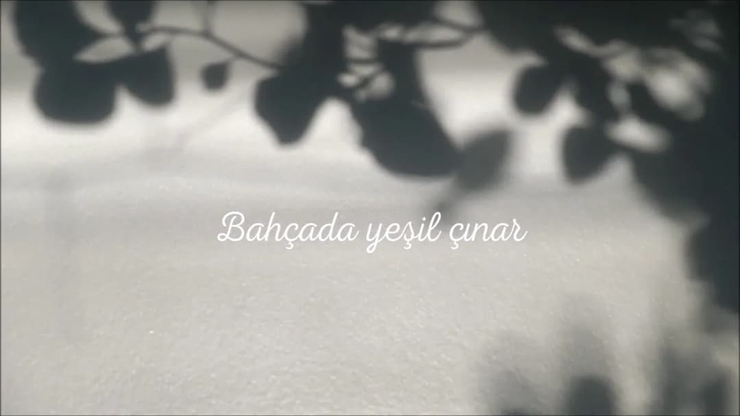Bahçada Yeşil Çınar Live guitar — Эльвира Сарыхалил